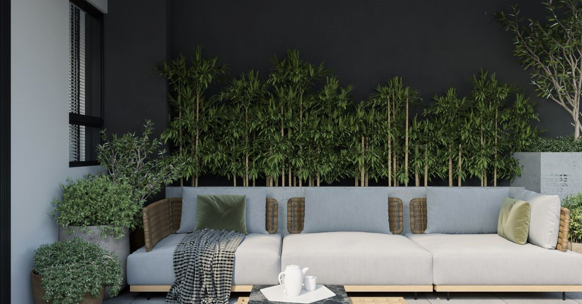 Modern living room patio with a long sofa and lush bamboo and potted plants against a dark wall.